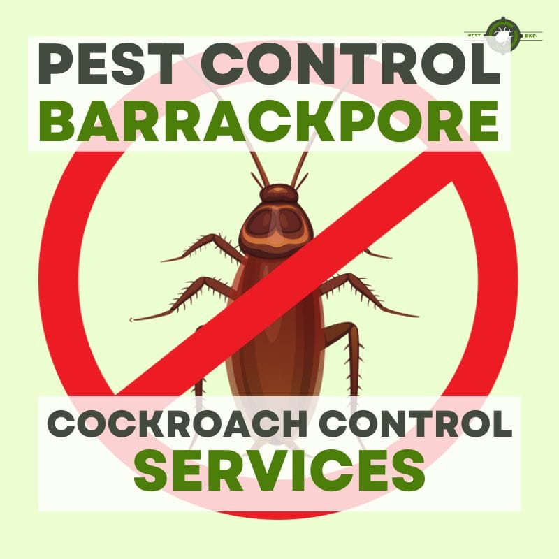 bedbug treatment & healthy sleep