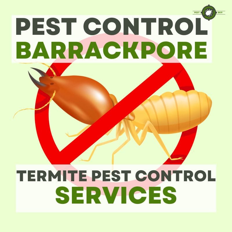 Termite Control Barrackpore